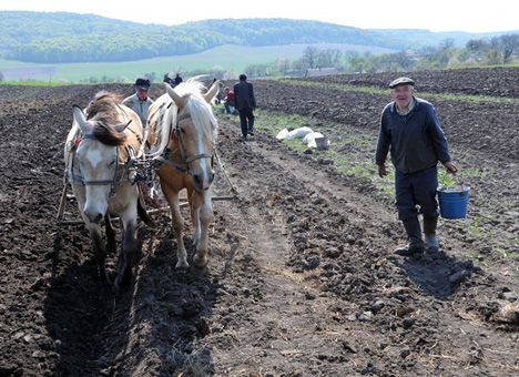 Украинцы поделят свои земельные ресурсы с китайцами