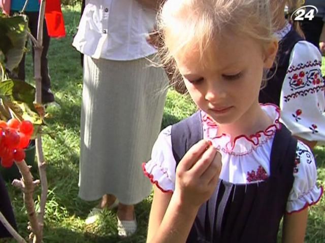 Винницкие школьники ходят на уроки в вышиванках Винницкие школьники ходят на уроки в вышиванках