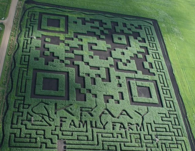 В Канаде на поле выстригли крупнейший в мире QR-код В Канаде на поле выстригли крупнейший в мире QR-код