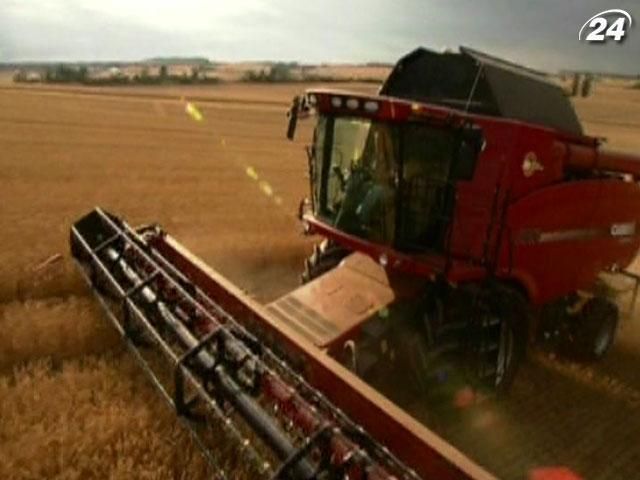 Обсяг світового врожаю пшениці знизиться до 658,7 мільйонів тонн