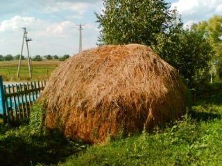 В подарок любимой россиянин украл 15 центнеров сена В подарок любимой россиянин украл 15 центнеров сена