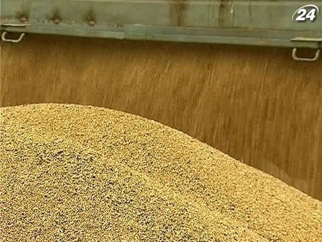 Підсумки тижня: За п'ять років Україні обіцяють урожай зернових до 80 мільйонів тонн