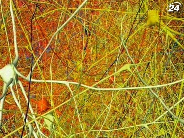 Швейцарские исследователи работают над созданием точной копии человеческого мозга Швейцарские исследователи работают над созданием точной копии человеческого мозга