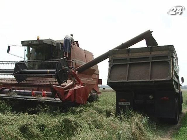 Азаров: Урожай зерновых составит 47 млн ​​тонн