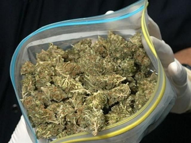 Пограничники изъяли 16 килограммов марихуаны