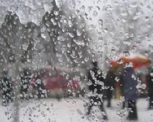 В Карпатах очікують дощ з мокрим снігом наприкінці тижня