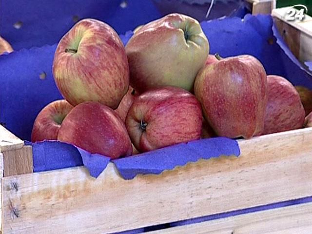 Українські прилавки "завалюють" польськими яблуками Українські прилавки "завалюють" польськими яблуками