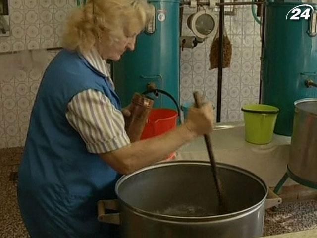 Из-за запрета на алкоголь чехи "переключились" на сливовицу Из-за запрета на алкоголь чехи "переключились" на сливовицу