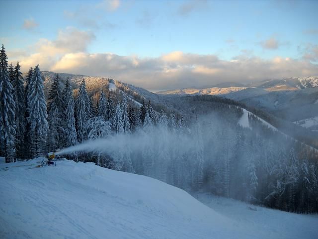 Азаров: Україна боротиметься за проведення Зимової Олімпіади-2022 Азаров: Україна боротиметься за проведення Зимової Олімпіади-2022