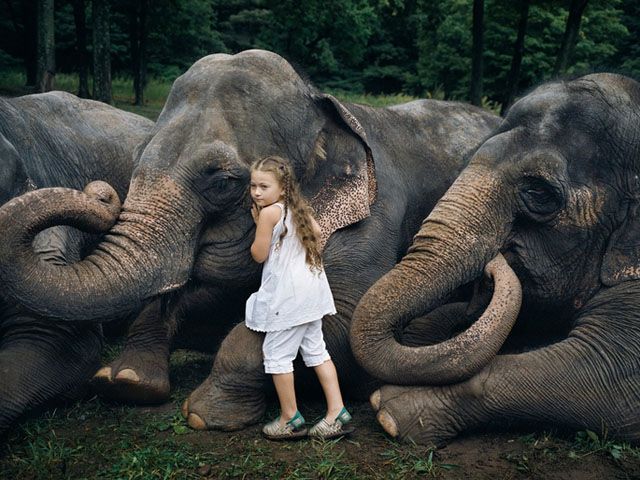 Фотограф робить унікальні кадри доньки з тваринами (Фото)