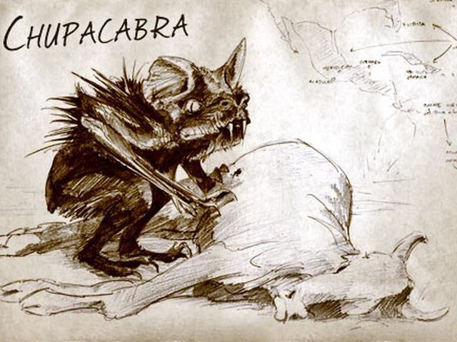 В Україні з'явився музей чупакабри В Україні з'явився музей чупакабри