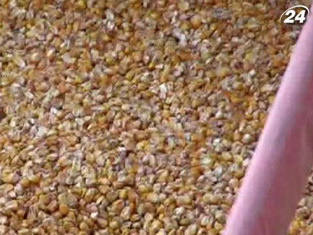 Правительство Украины усовершенствовало проведение форвардных закупок зерна
