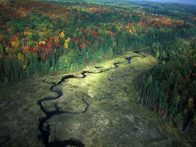 Канадский парк Алгонквін восени