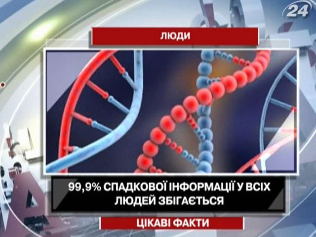99,9% наследственной информации у всех людей совпадает 99,9% наследственной информации у всех людей совпадает