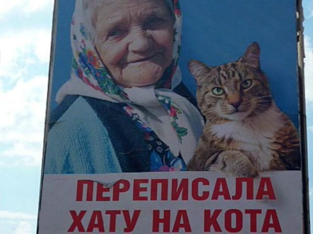 Автора билборда с бабушкой и котом могут лишить свободы на 5 лет