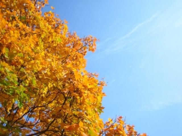 Початок жовтня потішить теплом Початок жовтня потішить теплом