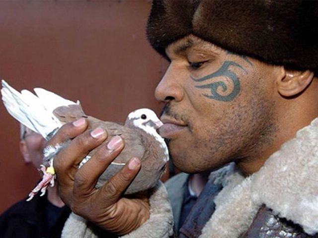 Майк Тайсон сыграет в "Очень страшном кино 5" Майк Тайсон сыграет в "Очень страшном кино 5"