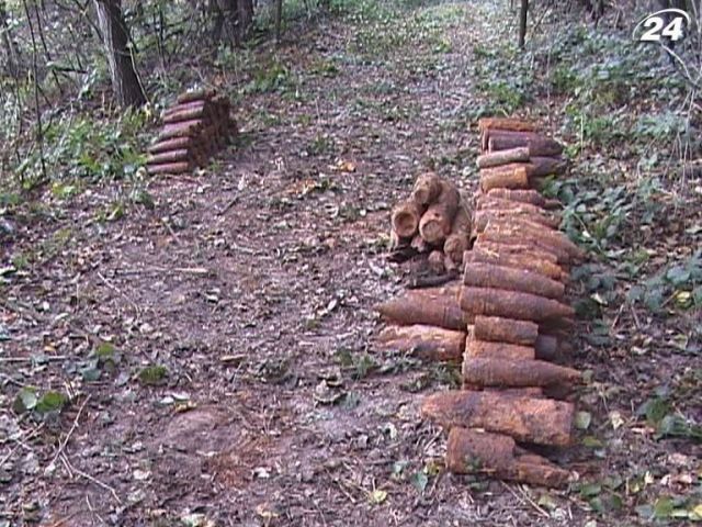 На Львовщине мужчины в лесу нашли более 700 снарядов
