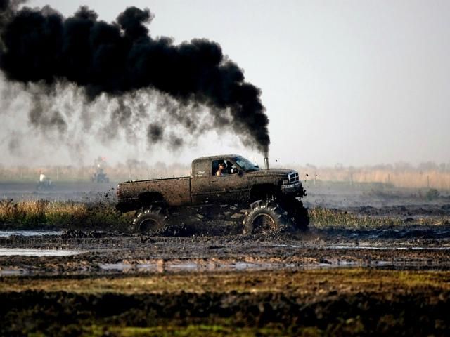 В США прошел болотный фестиваль (Фото) В США прошел болотный фестиваль (Фото)