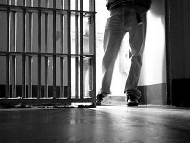 Правительство предложило принять закон об амнистии Правительство предложило принять закон об амнистии