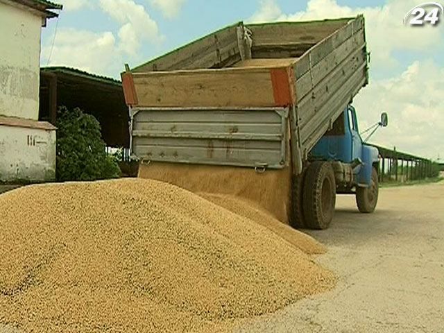 Аграрный фонд планирует закупить 1,3 млн тонн зерна урожая 2013 года