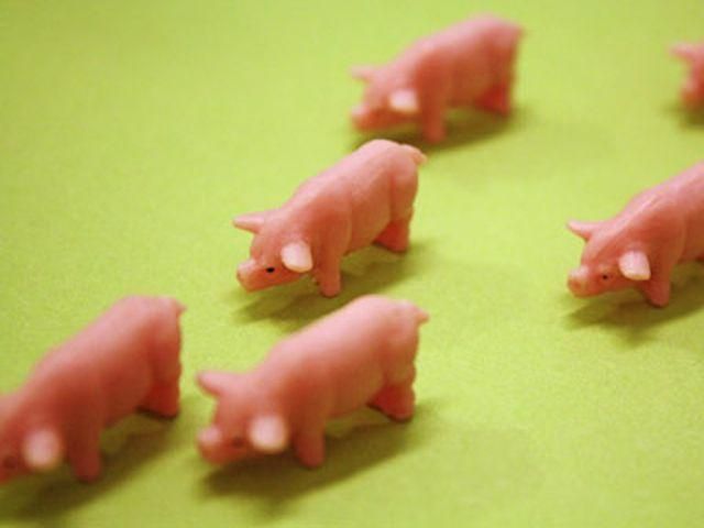 Американцы начали выращивать искусственное мясо Американцы начали выращивать искусственное мясо