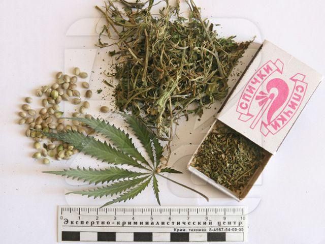 У Києві медсестра "лікувала" клієнтів марихуаною У Києві медсестра "лікувала" клієнтів марихуаною