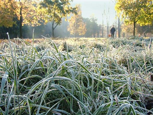 В Україні наступного тижня суттєво похолодає