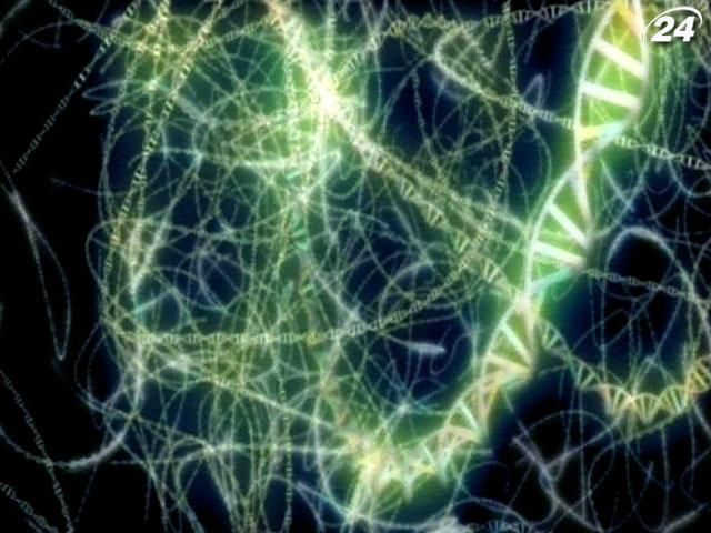 Дослідження: пережитий досвід успадковується, і відбувається це без упливу генів Дослідження: пережитий досвід успадковується, і відбувається це без упливу генів