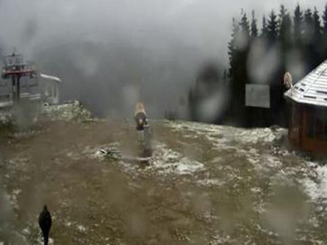 У Карпатах уже лежить сніг товщиною 10 сантиметрів У Карпатах уже лежить сніг товщиною 10 сантиметрів