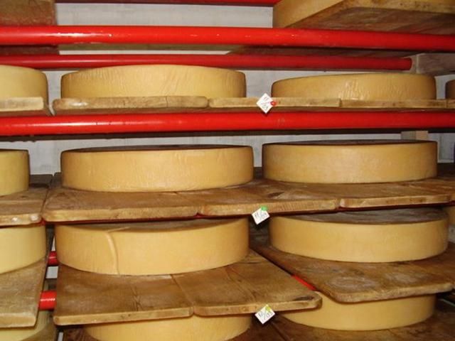 Россия вновь ограничила ввоз украинского сыра Россия вновь ограничила ввоз украинского сыра