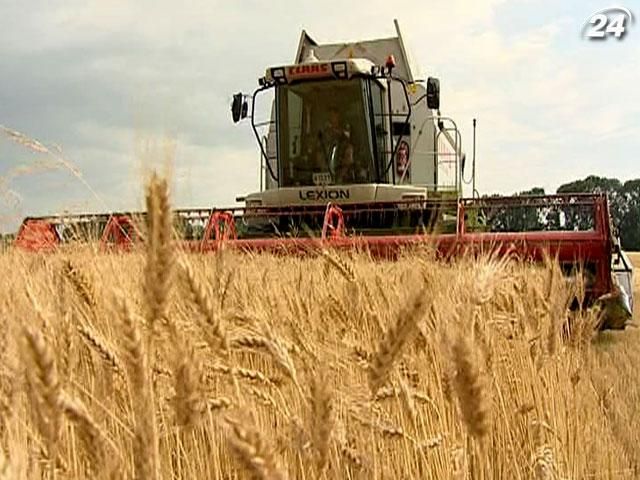 Украина собрала зерновые с 85% запланированных площадей