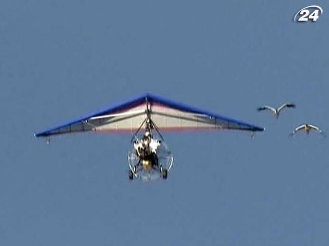 Журавли, которых вел Путин, не нашли дороги на юг Журавли, которых вел Путин, не нашли дороги на юг