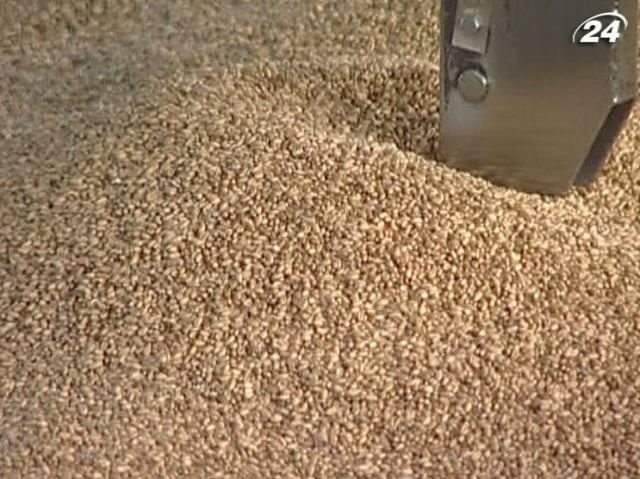Уряд дозволив експортувати ще 1 млн тонн пшениці