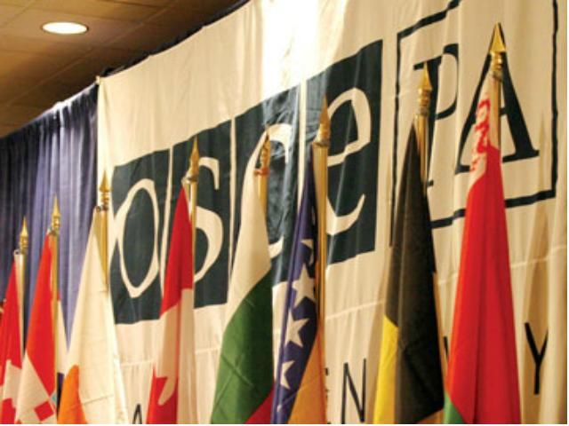 На Львівщині невідомий дзвонив спостерігачу ОБСЄ і ображав лайкою На Львівщині невідомий дзвонив спостерігачу ОБСЄ і ображав лайкою