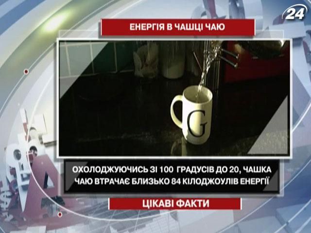 Цікаві факти про властивості чаю Цікаві факти про властивості чаю