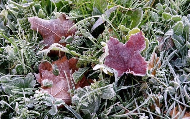 Завтра в Україні слід чекати на температуру від 5° морозу до 25° тепла