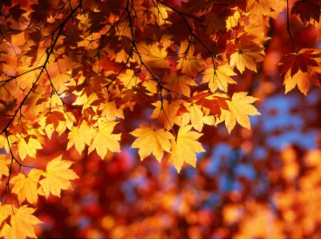 В Україні завтра стане тепліше В Україні завтра стане тепліше