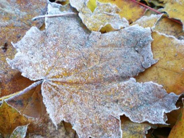 С 23 октября в Украине похолодает С 23 октября в Украине похолодает