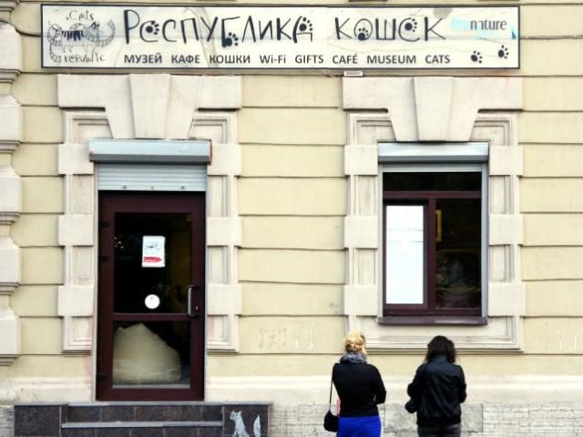 В России открыли кафе для кошек (Фото) В России открыли кафе для кошек (Фото)
