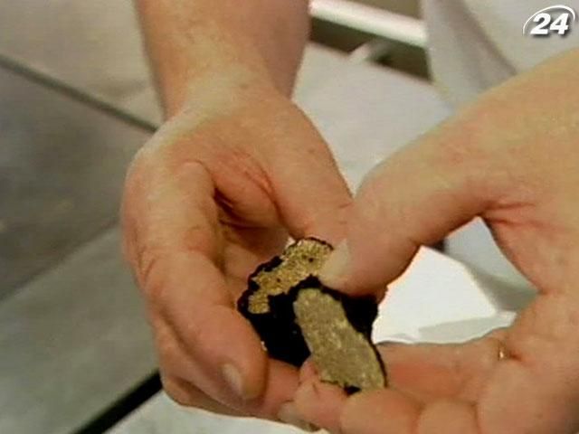 Немецкие трюфели - эксклюзив для самых дорогих ресторанов Немецкие трюфели - эксклюзив для самых дорогих ресторанов