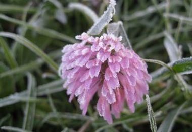 Завтра температура воздуха местами опустится до -2 ° Завтра температура воздуха местами опустится до -2 °