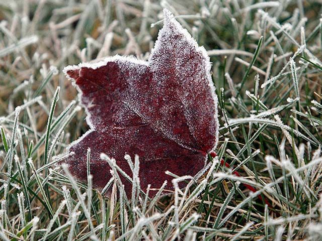 Сьогодні в Україні можливі заморозки Сьогодні в Україні можливі заморозки