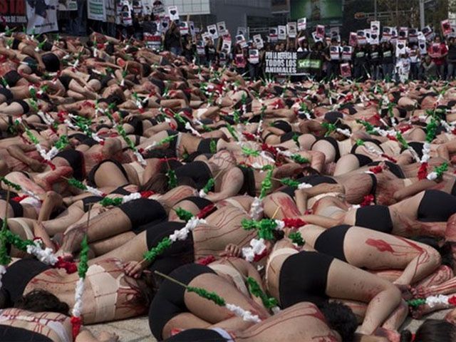 Найяскравіші акції протестів у світі (Фото) Найяскравіші акції протестів у світі (Фото)