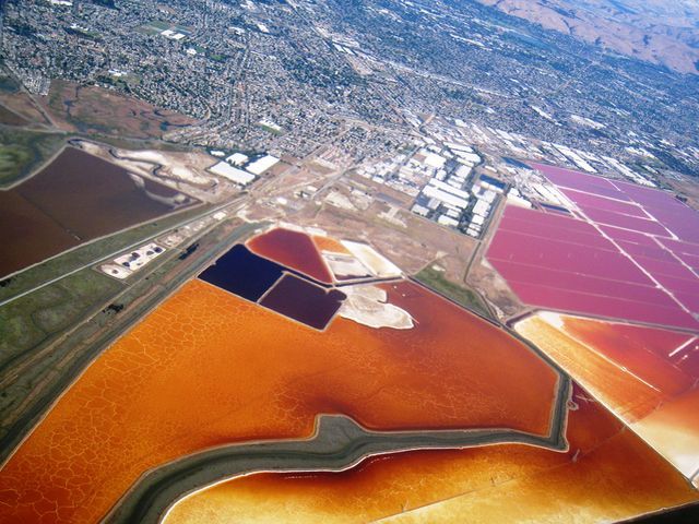 Цветные соляные пруды в заливе Сан-Франциско (Фото) Цветные соляные пруды в заливе Сан-Франциско (Фото)