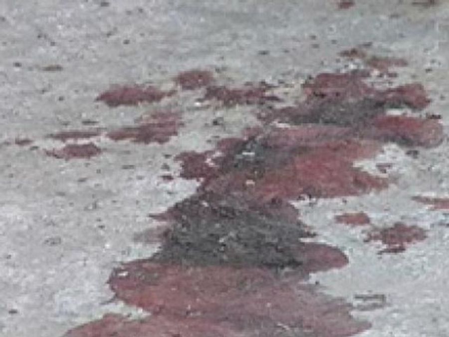 У Львові до смерті побили відомого лікаря та викладача