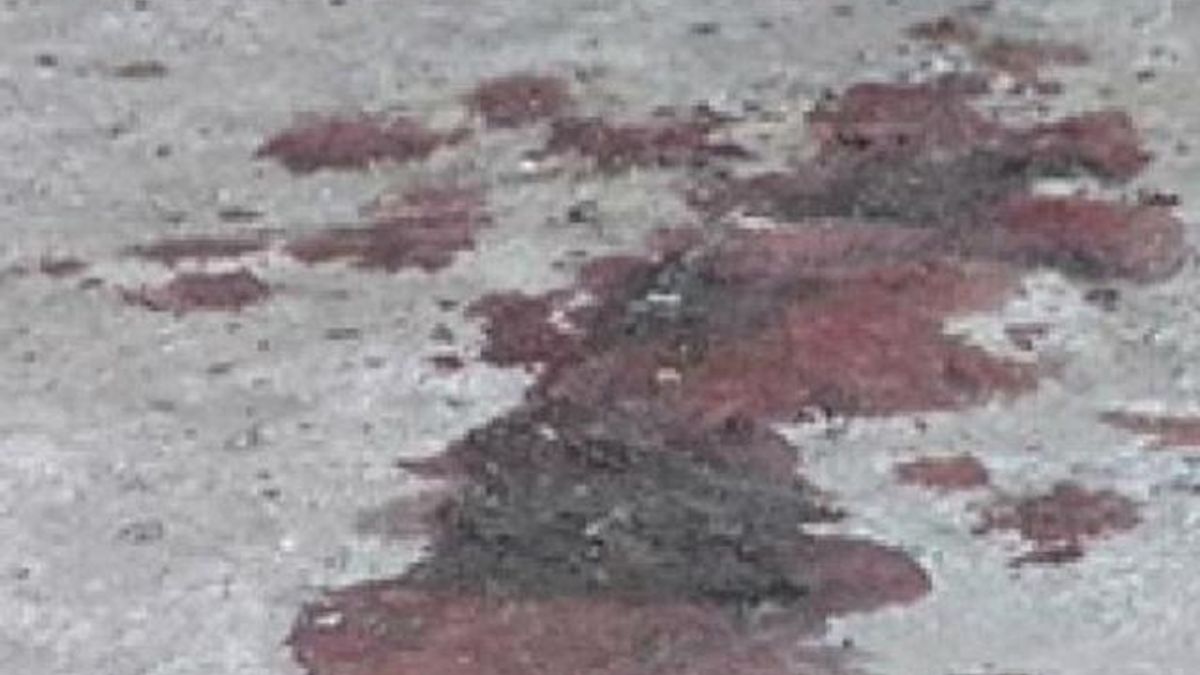 Во Львове до смерти избили известного врача и преподавателя Во Львове до смерти избили известного врача и преподавателя