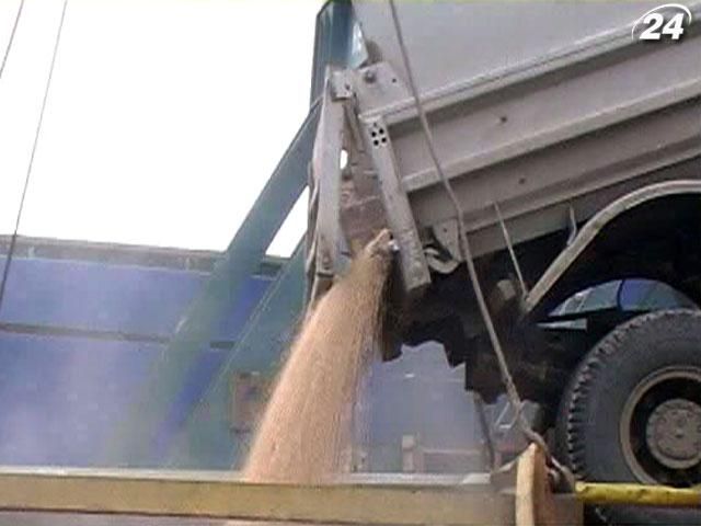 Україна може заборонити експорт пшениці з 15 листопада