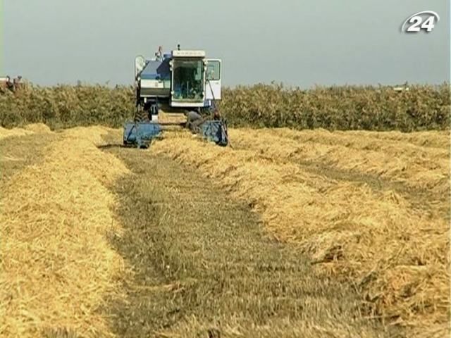 Дослідження: Посушливий клімат стає константою світового розвитку Дослідження: Посушливий клімат стає константою світового розвитку