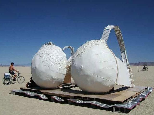 На аукціон виставили гігантський бюстгальтер На аукціон виставили гігантський бюстгальтер